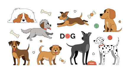 Fototapeta premium Large set of various dog breeds in different poses like sitting and running along with pet accessories such as bones and play balls.