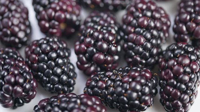 Juicy blackberries glowing on surface, Ripe blackberries with textured drupelets shine brightly, Deep purple blackberries displayed on clean white background for visuals