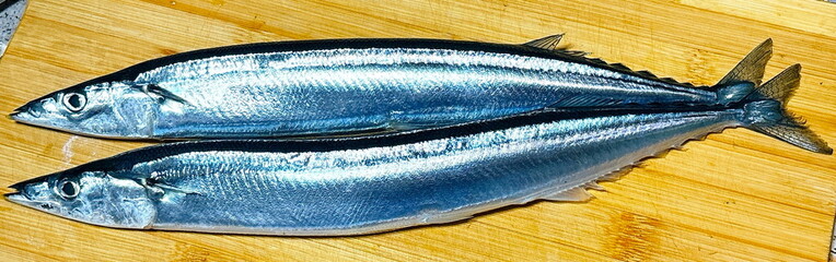 秋刀魚_さんま