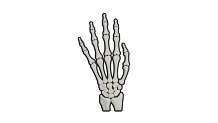 Skeleton hand reaching up, white bones with black outline on transparent background
