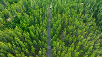 Fototapeta premium Aerial view of dark green forest road and white electric car Natural landscape and elevated roads Adventure travel and transportation and environmental protection concept 