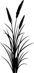Obraz premium Silhouette of cattail plants with long leaves and fluffy tops Vector Illustration