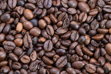 Fototapeta premium Wide texture shot assorted roasted coffee beans showcasing dense arrangement, color variation and tactile surface details for food styling and product marketing
