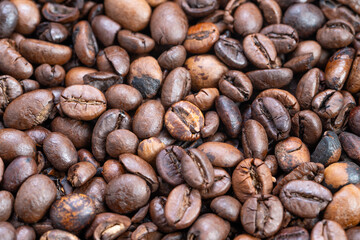 Fototapeta premium Large batch of java seeds transported through industrial roasting line, Massive quantity of roasted coffee beans flowing along production line in bustling factory