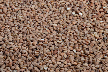 Fototapeta premium Closeup of buckwheat grains with husks, Detailed macro view of buckwheat and husks scattered, Macro photography capturing buckwheat grains and husk fragments in rustic setting