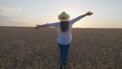 A Joyful and Relaxing Moment in a Beautiful Wheat Field Beneath a Gorgeous Sunset Sky
