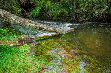 River Running Fast Over Submerged Log