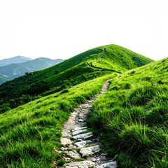 Stone path ascends a green grassy mountain under a bright sky