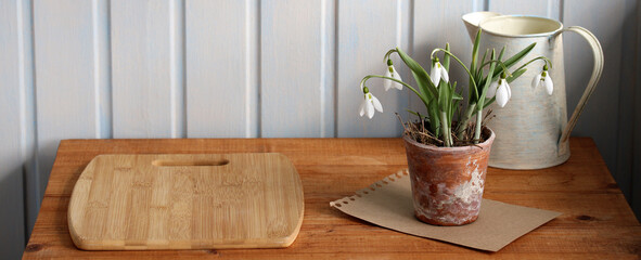 Pot of snowdrops on wooden table welcoming spring. spring mockup