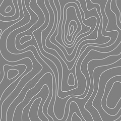 Fototapeta premium Contour Wave Texture. Abstract Topographic Line Map Background. Ideal for technology projects, data visualization, presentations, posters, wallpapers, geographic themes