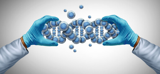 Stem cell genetics and Aging science and genetic biology as stem-cells in as a DNA strand health concept for wellness.
