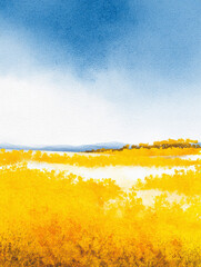 ゴールドの花畑と青い空