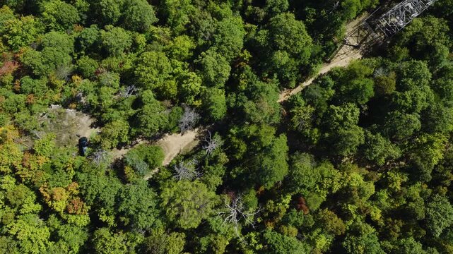 Overhead aerial top down pan across trail leading to lookout tower in middle of vibrant green treetops covering rugged terrain, Devils Knob Arkansas