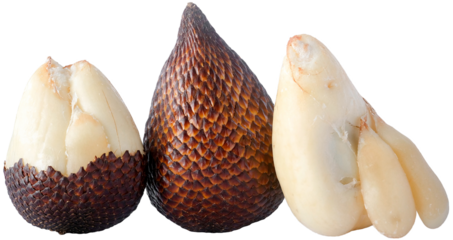 Composition of Three Snake Fruit Buah Salak Showing Skin Flesh and Segments on Transparent Background