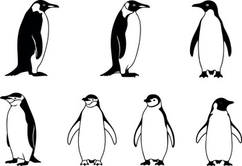 Obraz premium Collection of minimalist penguin vector graphics, penguins in various poses and designs