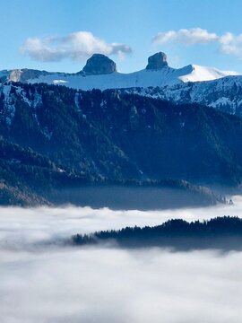 Breathtaking mountain landscape with thick clouds in the valley and pine forest under blue sky.