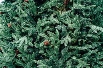 Full Frame Background of Artificial Christmas Tree with Pine Cones