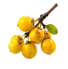 Yellow nance fruit (Byrsonima crassifolia) clustered on a natural branch, featuring glossy skin, organic imperfections, and vivid tropical color.