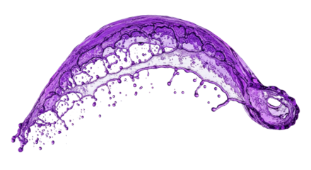 ultra-high-speed, macro close-up photograph of vibrant, translucent purple liquid splash frozen mid-air, scattering droplets, isolated on a transparent background with copy space. concept for