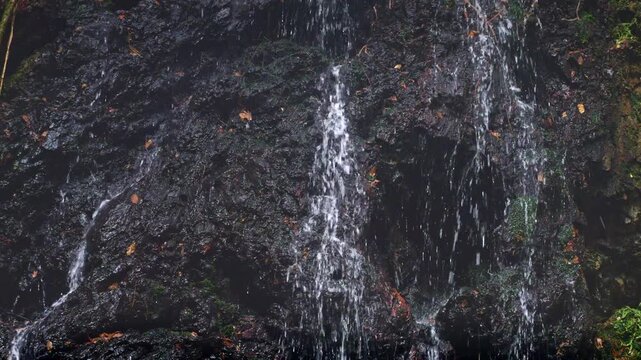 岩門の滝（岐阜県関市洞戸）
