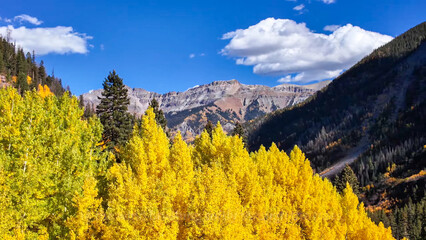 Aerial view of golden autumn forests and majestic mountains under a blue sky