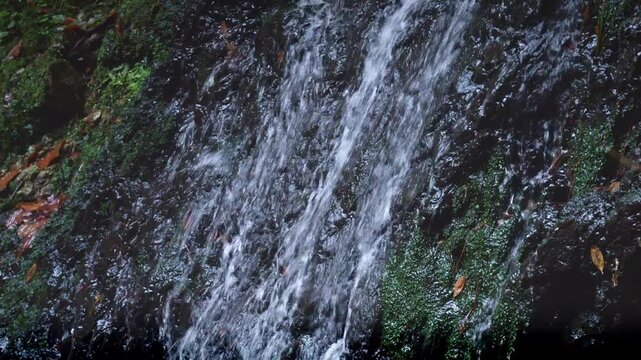 岩門の滝（岐阜県関市洞戸）
