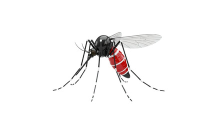 3D Mosquito insect transparent background