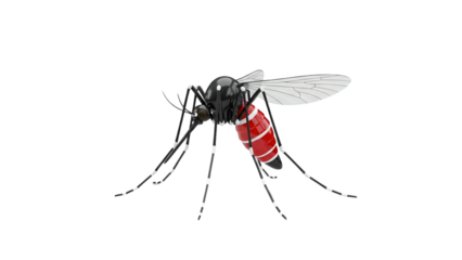 3D Mosquito insect transparent background