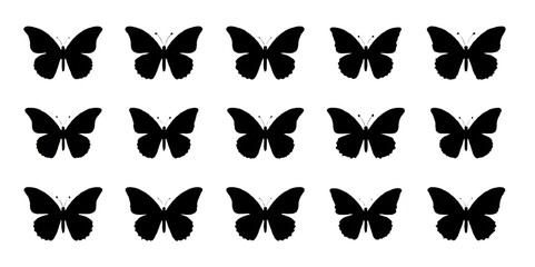 Obraz premium black and white butterflies silhouettes