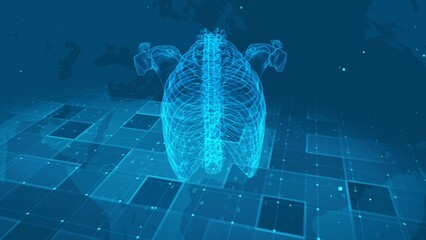 Digital Human Rib Cage and Spine Anatomy on Futuristic Medical Grid