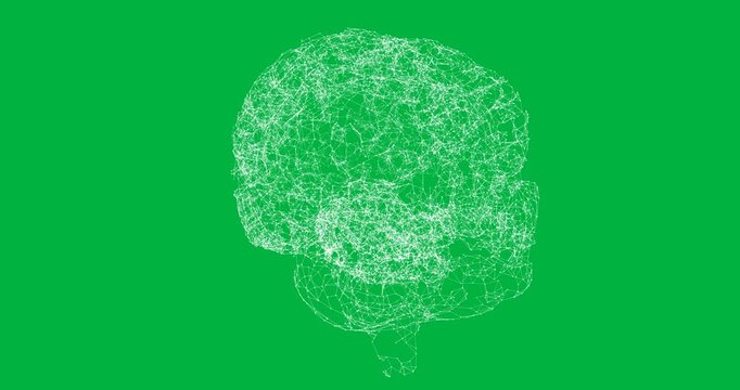 3D human brain spinning against black background