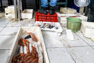 colors and flavors in a Casablanca market during a sunny day