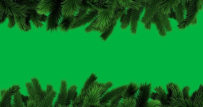 Animation of decoration with green fir tree branches on black background