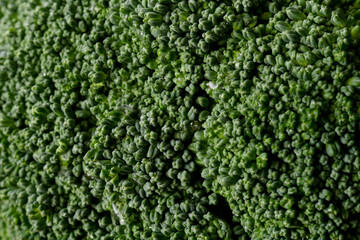 ブロッコリー　アップ