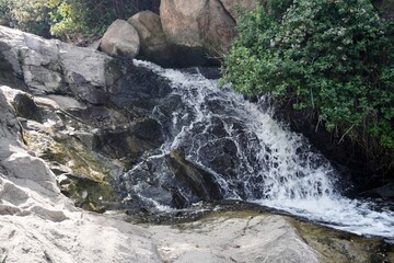 Small waterfall flowing over rocks surrounded by greenery in natural outdoor setting