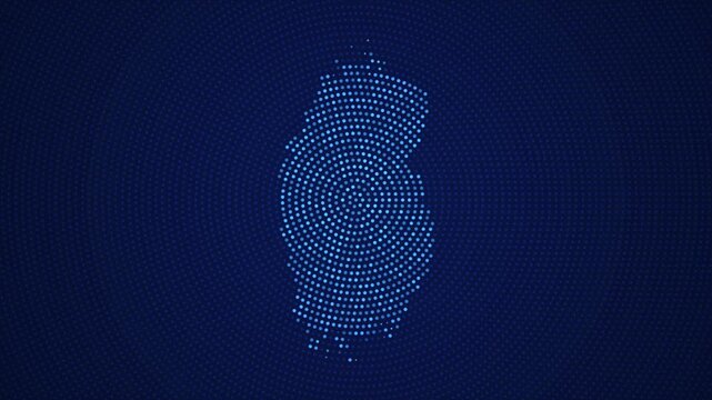 Qatar Digital Map with Dotted Flicker and Scale Reveal Animation