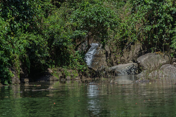Naklejka premium Small waterfall flowing into calm pool in dense jungle, khao yai, thailand