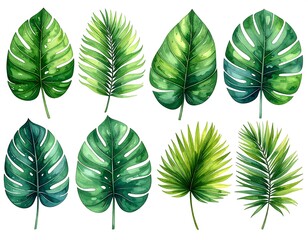 Watercolor depiction of eight vibrant tropical leaves