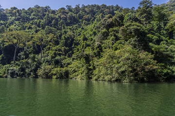 Obraz premium Lush jungle canopy overlooking calm river in khao yai, thailand