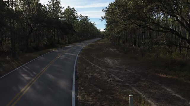 Aerial follow of quiet road cutting through forested landscape in Blackwater River State Park, pleasant sun flare between trees