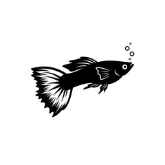 Black and white fishes swimming in the water near a flying eagle silhouette with feathered wings in this wildlife nature illustration