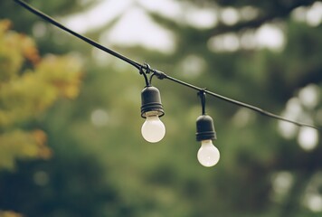 Outdoor string lights hanging against a blurred green background