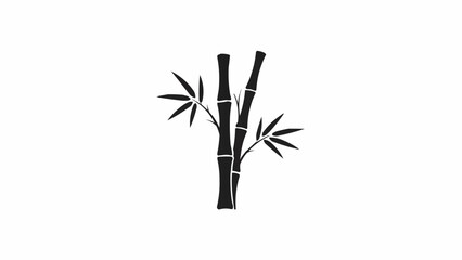 Fototapeta premium bamboo isolated on white