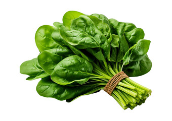 Fresh bunch of spinach leaves isolated on transparent or white background