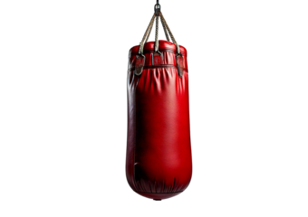 Hanging punching bag isolated on transparent or white background