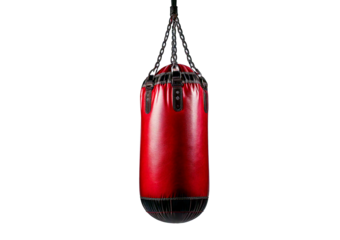 Hanging punching bag isolated on transparent or white background