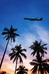 international flight for summer holidays, travel destination, flight ticket, silhouette of airplane in the sky with palm trees, vacation travel