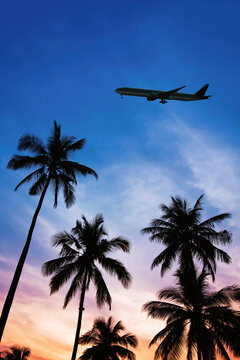 international flight for summer holidays, travel destination, flight ticket, silhouette of airplane in the sky with palm trees, vacation travel