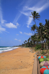 Coco palms at a sand beach between Bossa and Galle, Sri Lanka.