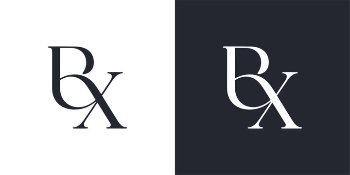 BX Letter Monogram Logo Design Vector , Initial Logo Vector for Identity